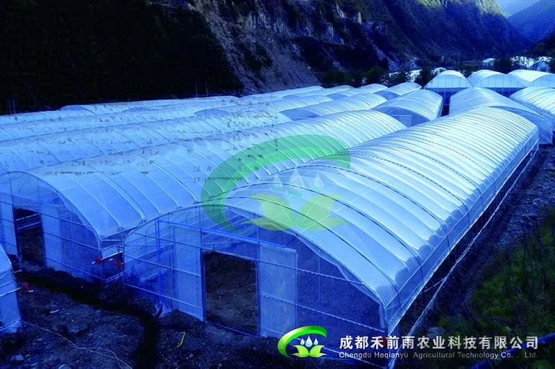 雅江农牧局食用菌大棚.jpg