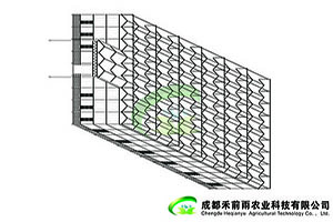 玻璃温室1.jpg